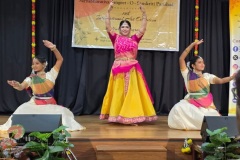 Sarbabharatiya-Kala-Spandan-Nov-11-13-2025-3