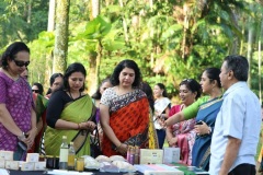 Saree-Walkathon-3